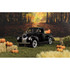 49-0393: Black
1/25 Scale 1940 Ford F-100 Pickup Diecast Replica