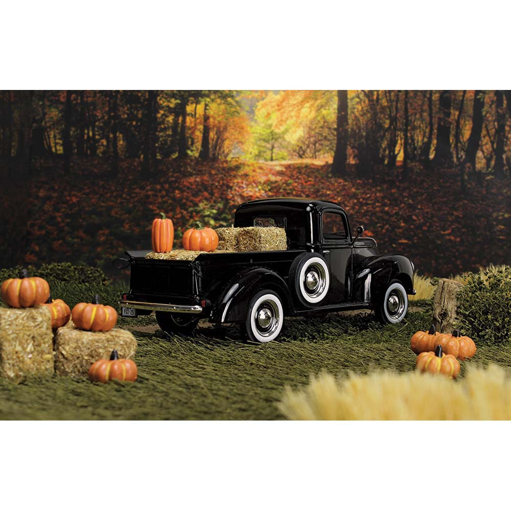 49-0393: Black
1/25 Scale 1940 Ford F-100 Pickup Diecast Replica