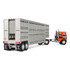 Orange/Black Freightliner COE & 45' Wilson Vintage Livestock Trailer